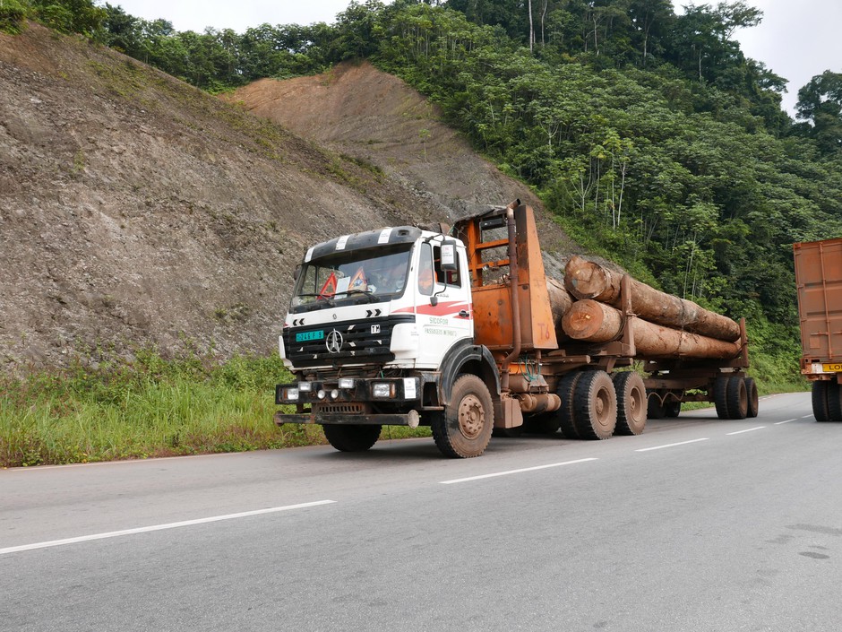 A truckload of tropical hardwood from west Central Africa called okoume. It's at the center of an environmental watchdog group's investigation into illegal logging and corruption. CREDIT: EIA