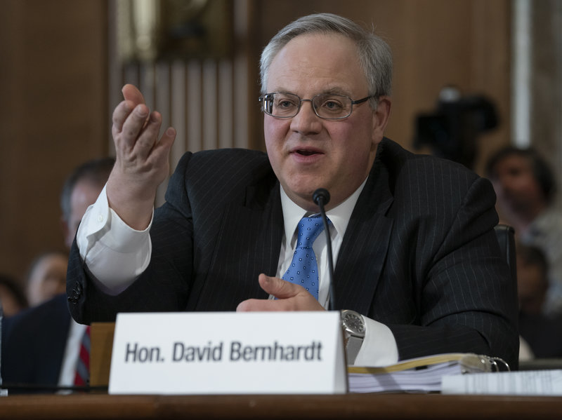 David Bernhardt, a former oil and gas lobbyist, speaks before the Senate Energy and Natural Resources Committee at his confirmation hearing to head the Interior Department, on Capitol Hill in Washington, Thursday, March 28, 2019. CREDIT: J. Scott Applewhite/AP
