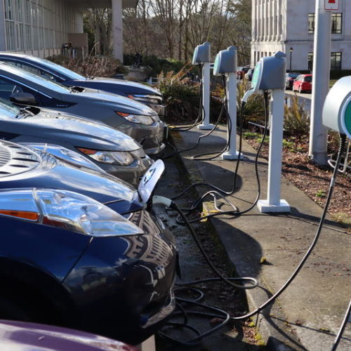 Electric cars parked at the Washington State Capitol. CREDIT: TOM BANSE / N3