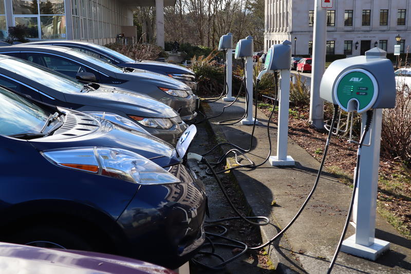 Electric cars parked at the Washington State Capitol. CREDIT: TOM BANSE / N3