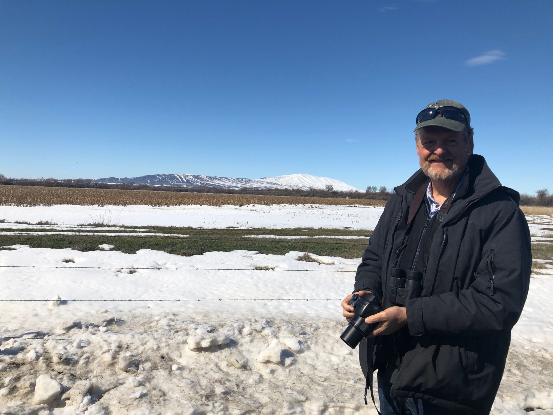 Mike Denny, an avid birder from College Place, Wash., scouts out a group of migrating lesser sandhill cranes near Richland. He’s worried the lingering snow is making life difficult for the travelers who need to refuel for their continued journey to Alaska. CREDIT: ANNA KING/N3