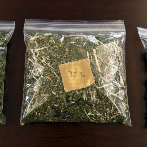 Samples of hemp sit on a table in the conference room at Andrew Ross' office in Denver on Friday, March 22, 2019. Ross, a Marine who served in Afghanistan and Iraq, is facing 18 years to life in Oklahoma if he is convicted after he was arrested in January while providing security for a load of state-certified hemp from Kentucky. Federal legalization for hemp has created a quandary for police as authorities lack the technology to distinguish marijuana from agricultural hemp at a roadside stop. CREDIT: THOMAS PEIPERT/AP