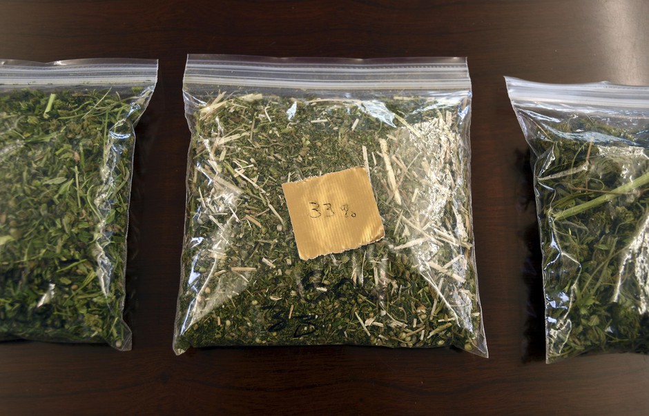 Samples of hemp sit on a table in the conference room at Andrew Ross' office in Denver on Friday, March 22, 2019. Ross, a Marine who served in Afghanistan and Iraq, is facing 18 years to life in Oklahoma if he is convicted after he was arrested in January while providing security for a load of state-certified hemp from Kentucky. Federal legalization for hemp has created a quandary for police as authorities lack the technology to distinguish marijuana from agricultural hemp at a roadside stop. CREDIT: THOMAS PEIPERT/AP