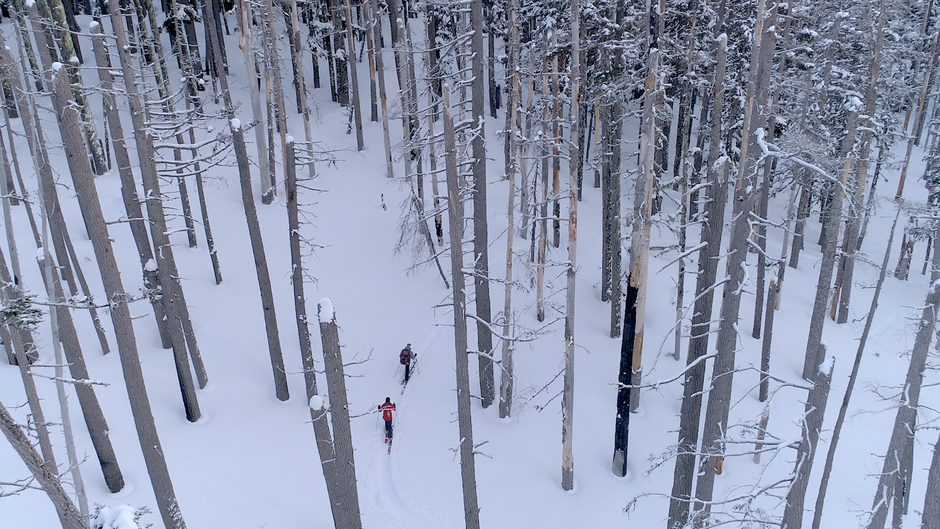 Andre and Jennifer skinning uphill to 