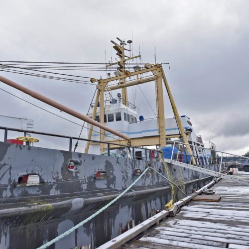 The Salvage Chief is moored at Tongue Point South, Astoria. CREDIT: COLIN MURPHEY / DAILY ASTORIAN