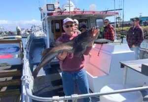 Charter captain Steve Westrick with a big lingcod a client caught on Easter weekend. CREDIT TOM BANSE / NW NEWS NETWORK