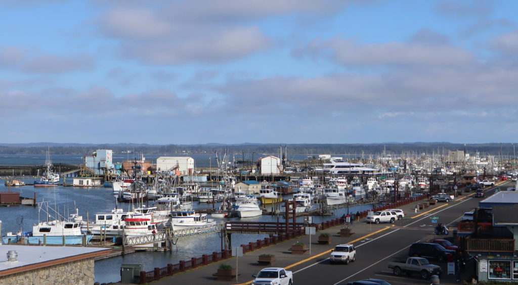 Westport Marina, Port of Grays Harbor CREDIT TOM BANSE / NW NEWS NETWORK