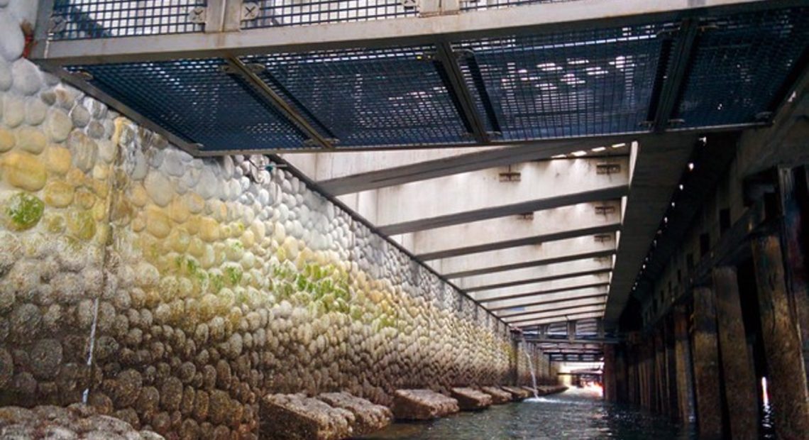 A view of the new seawall being installed on the Seattle waterfront. It's designed to help juvenile salmon.