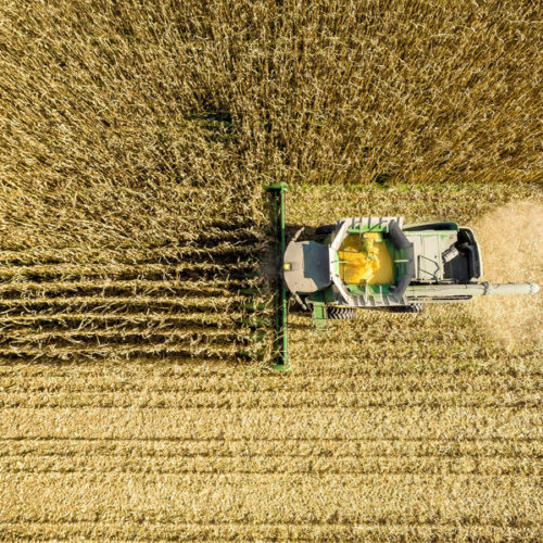 An aerial view of a combine harvesting corn in a field near Jarrettsville, Md. A new study ties an estimated 4,300 premature deaths a year to the air pollution caused by corn production in the U.S. CREDIT: Edwin Remsburg/Getty Images