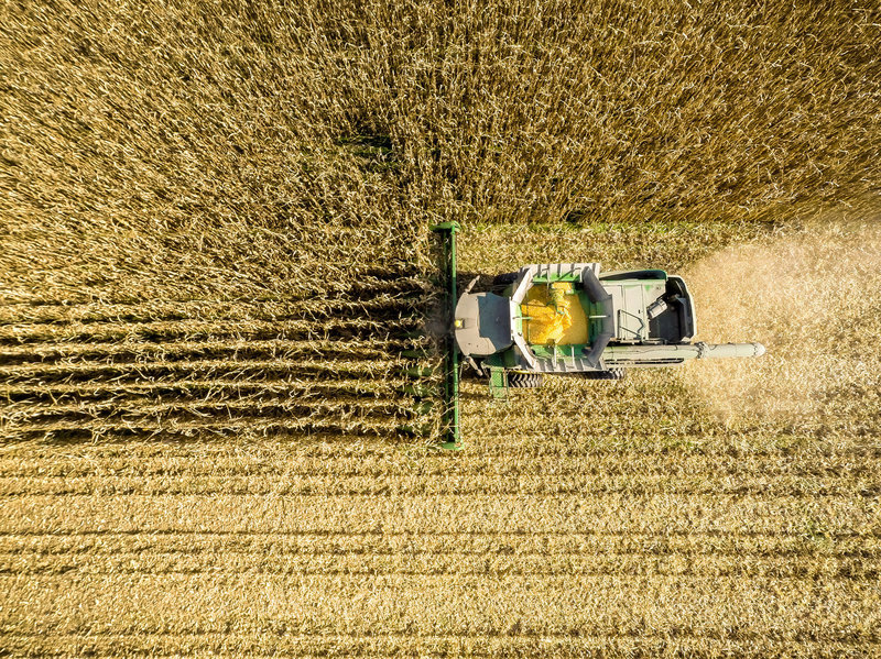 An aerial view of a combine harvesting corn in a field near Jarrettsville, Md. A new study ties an estimated 4,300 premature deaths a year to the air pollution caused by corn production in the U.S. CREDIT: Edwin Remsburg/Getty Images