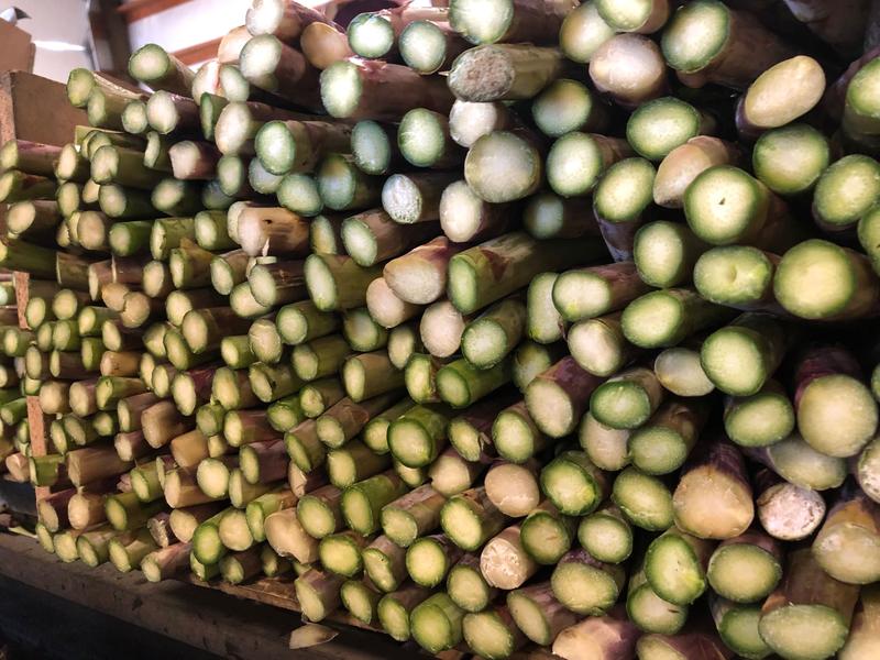 Washington asparagus is just starting to be cut, but farmers worry if their industry will hold on for the long haul. Cheaper imports from Mexico and Peru are putting pressure on Washington, California and Michigan farmers. ANNA KING / NW NEWS NETWORK
