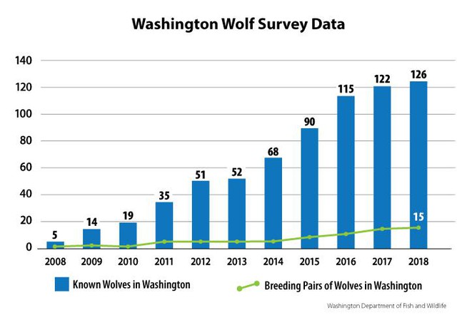 The number of known wolves and breeding pairs in Washington since 2008.