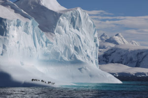 Gentoo penguins sit on an Antarctic iceberg in a scene from the new Netflix nature documentary series Our Planet. Sophie Lanfear/Silverback/Netflix