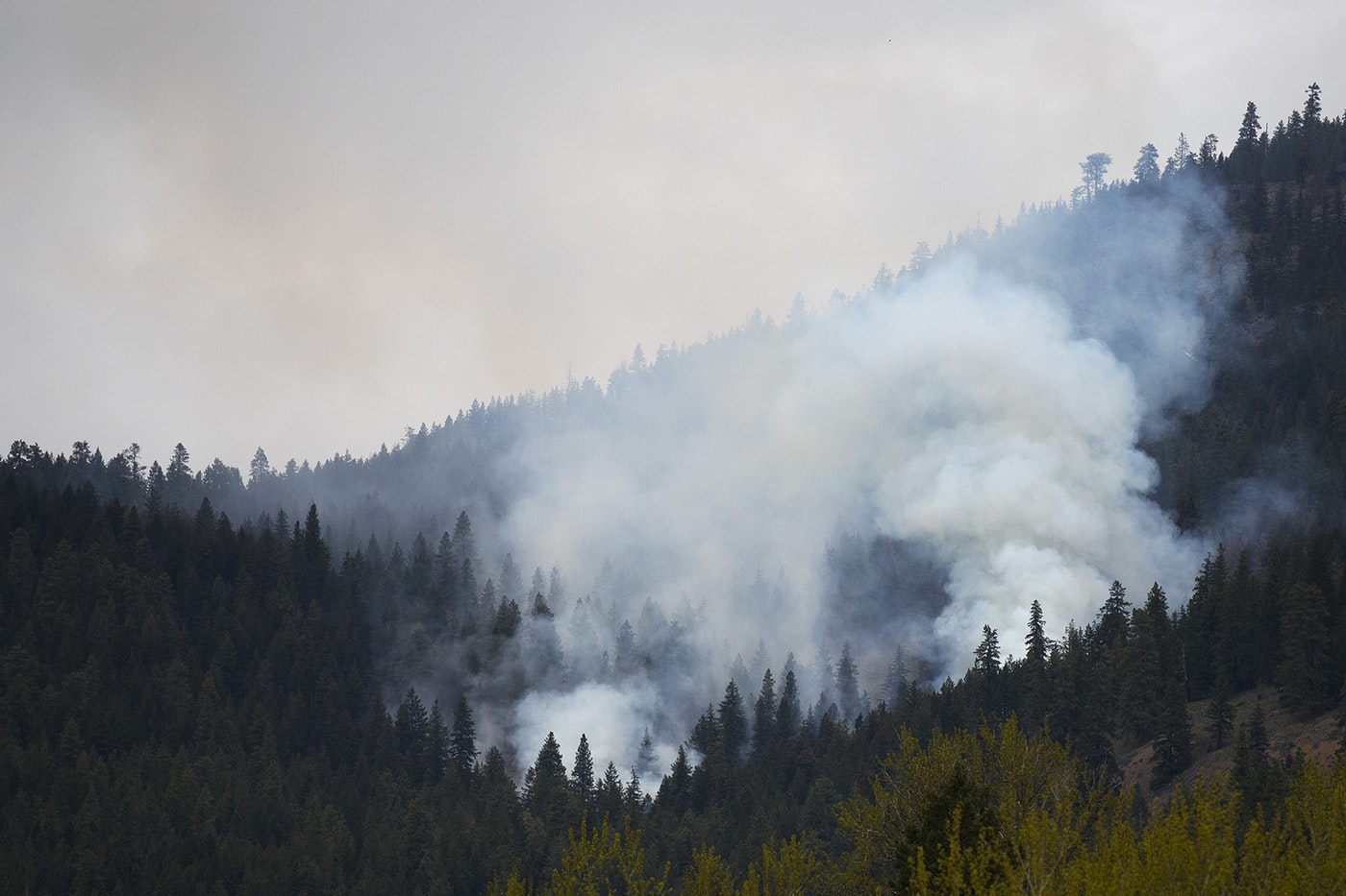 A prescribed burn is shown on Monday, April 22, 2019, south of Mazama, Washington. CREDIT: KUOW PHOTO/MEGAN FARMER