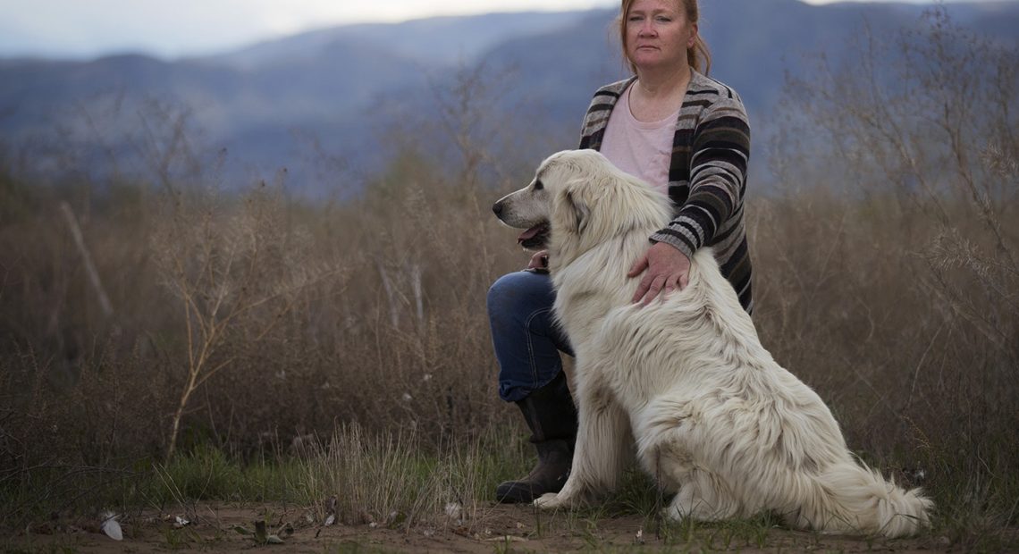 Elise Walker poses for a portrait with her Great Pyrenees, Mina, on Monday, April 22, 2019, at her home on Old Highway 97 in Okanogan. Walker has three scanners in her home playing at all times to monitor fire calls. CREDIT:KUOW PHOTO/MEGAN FARMER