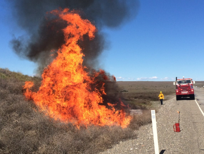 Hanford fire crews burn built-up brush along a roadway in preparation for a more-challenging-than-usual fire season.