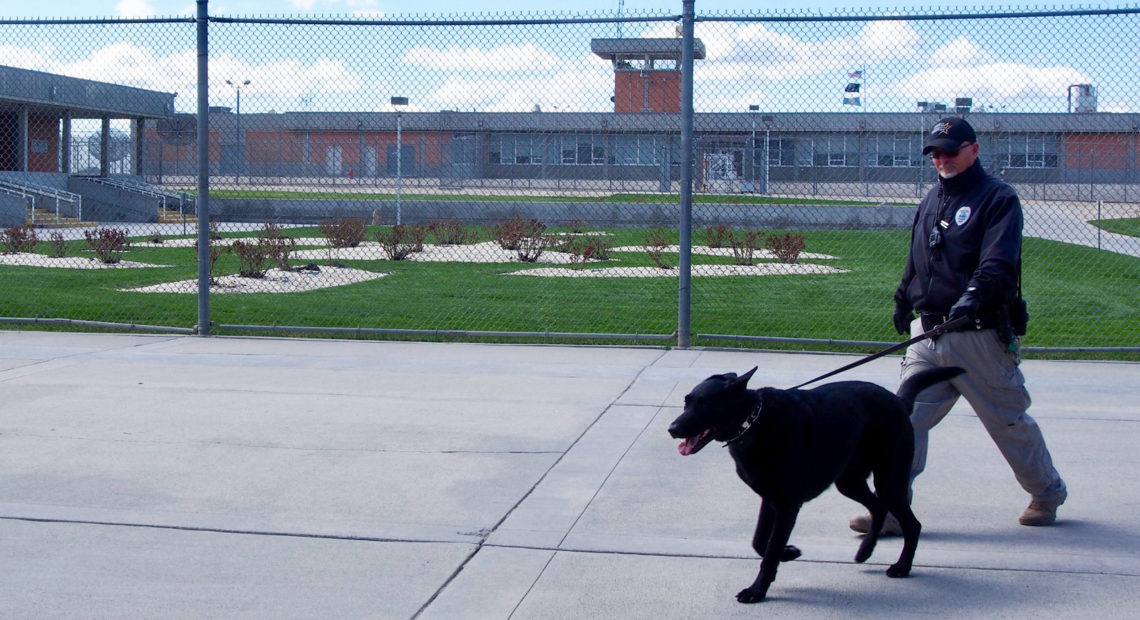 A corrections officer walks the grounds of the Idaho State Correctional Institution south of Boise where Adree Edmo was incarcerated. CREDIT: Heath Druzin/BSPR