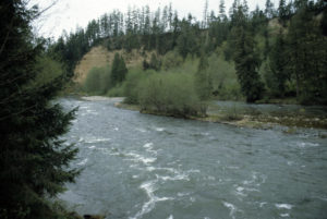 The Nisqually River between its headwaters on Mount Rainier and Puget Sound. CREDIT: WA STATE PARKS