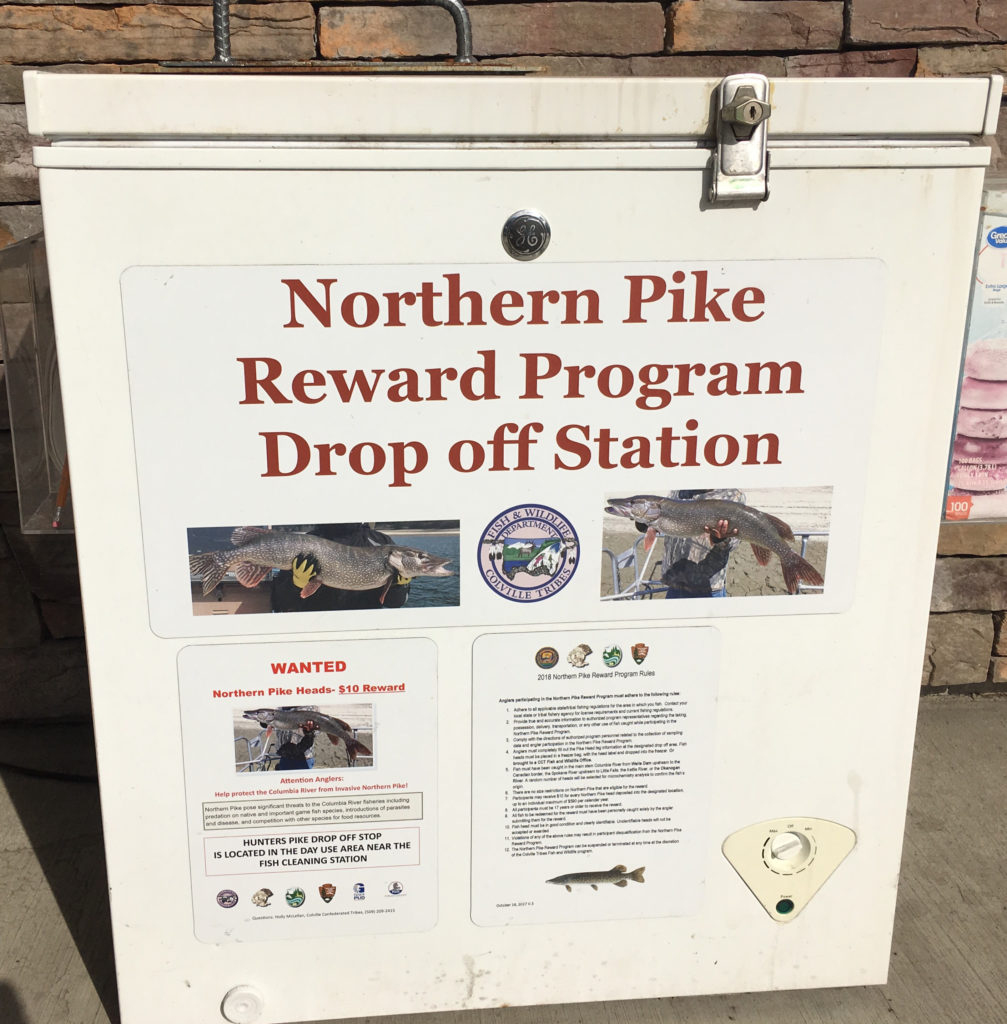 A northern pike dropoff station at the Tribal Trails gas station near Kettle Falls, Washington. CREDIT Scott A. Leadingham/NWPB