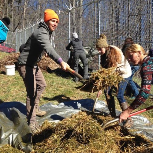 Katrina Spade (orange hat) of the Urban Death Project works with student volunteers to prepare a mulch pile at the Western Carolina University Forensic Osteology Research Center. CREDIT: ASHLEY AHEARN/KUOW