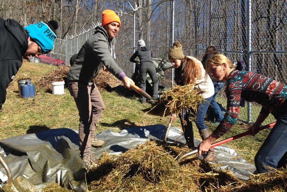 Katrina Spade (orange hat) of the Urban Death Project works with student volunteers to prepare a mulch pile at the Western Carolina University Forensic Osteology Research Center. CREDIT: ASHLEY AHEARN/KUOW