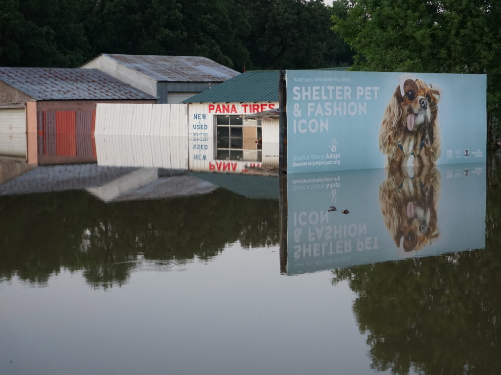 Businesses are underwater along the Arkansas River, including near Dardanelle. A levee broke just across the river overnight on Thursday. Nathan Rott/NPR