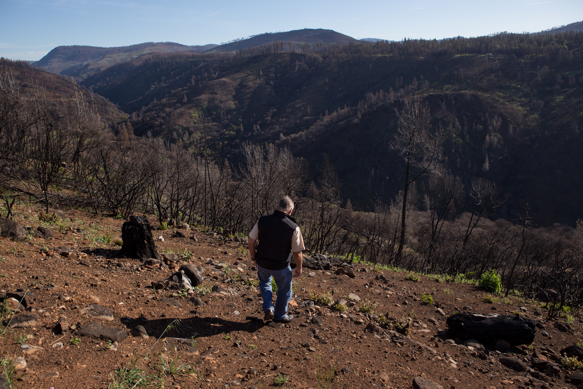 Efseaff says this area of land could serve the community in the future as a park and a firebreak. CREDIT: MEREDITH RIZZO/NPR