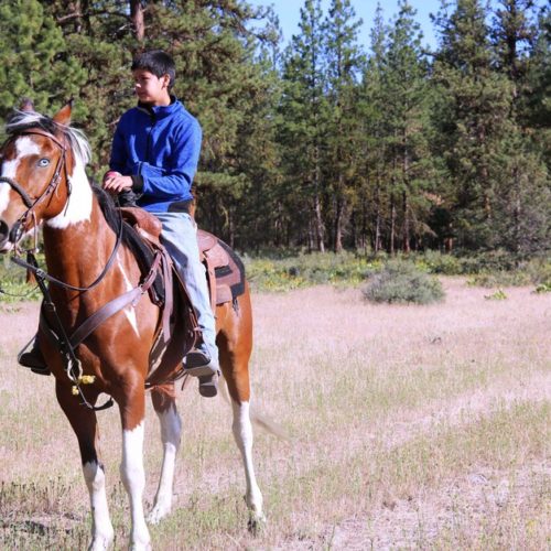 Avan Garcia and Blackhat get ready to chase wild horses on June 22, 2019.