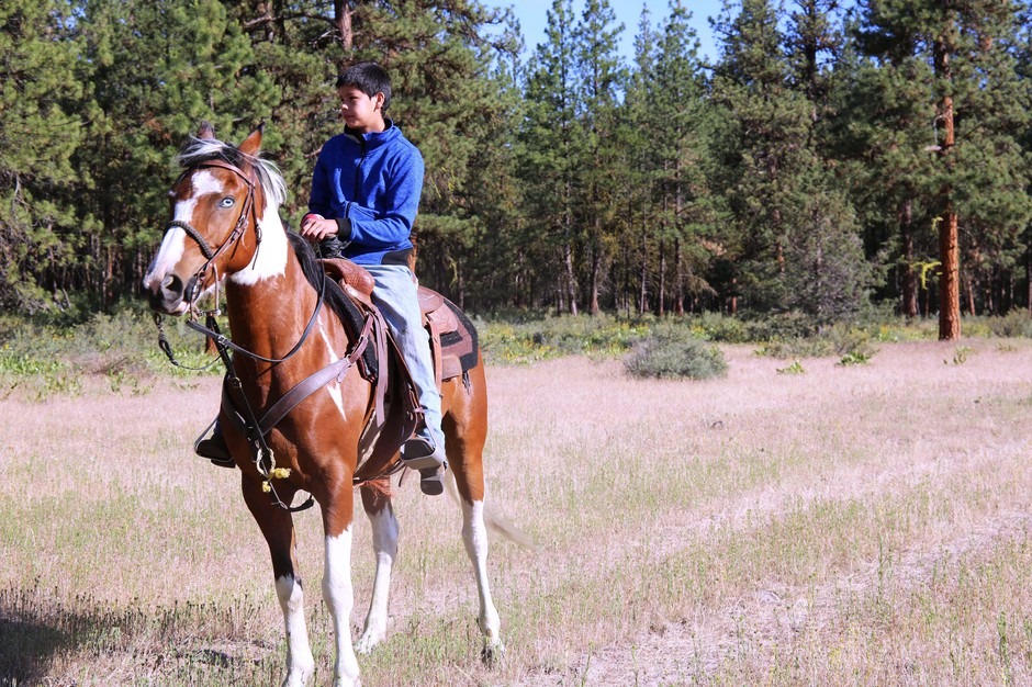 Avan Garcia and Blackhat get ready to chase wild horses on June 22, 2019.