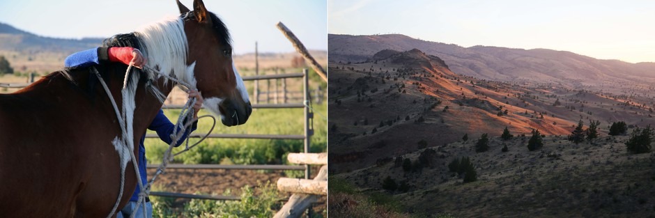 Left: Avan Garcia prepares his horse Blackhat to chase wild horses Saturday, June 22, 2019. Right: Sun rises over the Simnasho area of the Warm Springs Reservation. CREDIT: EMILY CURETON/OPB