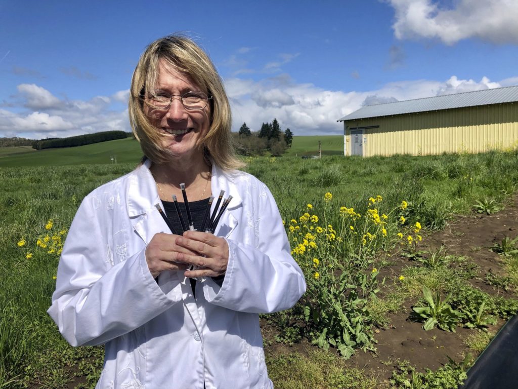 Cyndi Michael, a former medical marijuana grower, holds the last syringes of cannabis tincture she will process for sale in Rickreall, Ore., after deciding to no longer grow medical marijuana. The number of medical marijuana growers participating in Oregon's 20-year-old medical cannabis program has plummeted after the state legalized cannabis for all adults. Michael, who once grew for eight patients, could no longer make ends meet and also lost her business selling supplies to other medical marijuana growers. 