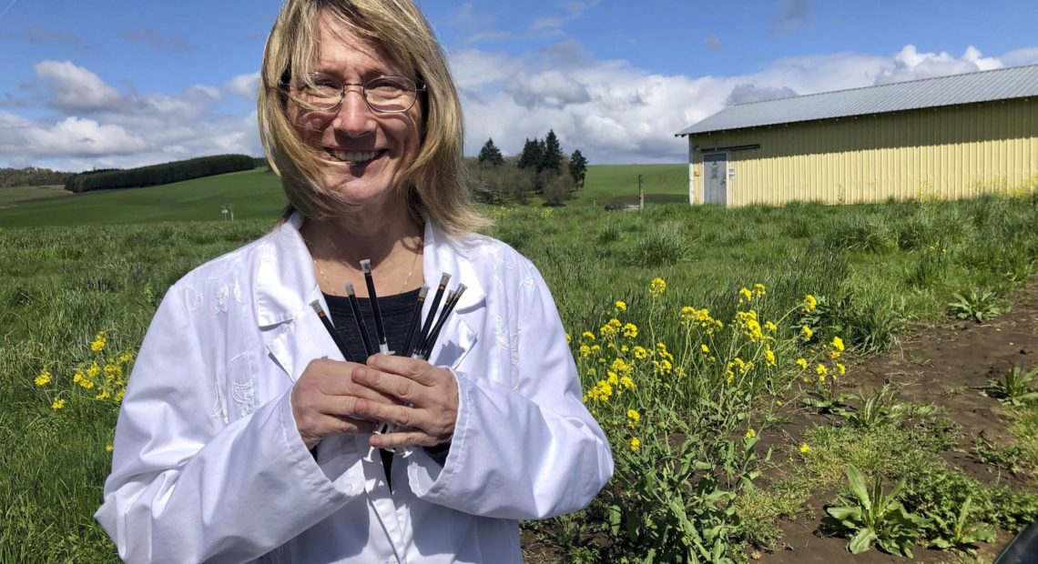 Cyndi Michael, a former medical marijuana grower, holds the last syringes of cannabis tincture she will process for sale in Rickreall, Ore., after deciding to no longer grow medical marijuana. The number of medical marijuana growers participating in Oregon's 20-year-old medical cannabis program has plummeted after the state legalized cannabis for all adults. Michael, who once grew for eight patients, could no longer make ends meet and also lost her business selling supplies to other medical marijuana growers.