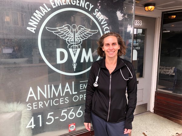 Dr. Dorrie Black works at a 24-hour veterinary clinic near Golden Gate Park in San Francisco. She says she often treats up to three dogs per week who have ingested marijuana. Laura Klivans/KQED