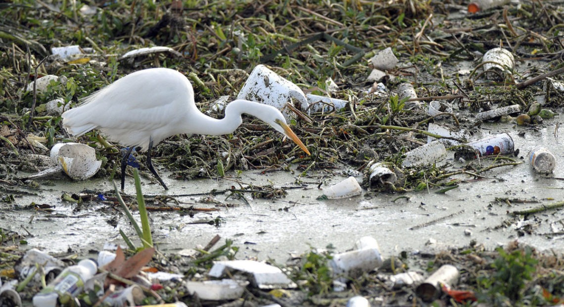 A Canadian ban on single-use plastics products could go into effect as early as 2021. CREDIT: COUNTY OF LOS ANGELES DEPARTMENT PUBLIC WORKS