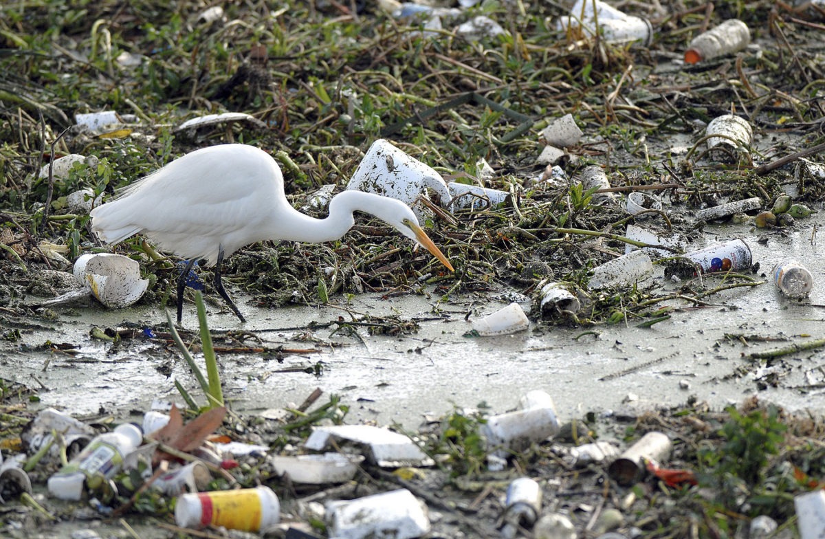 A Canadian ban on single-use plastics products could go into effect as early as 2021. CREDIT: COUNTY OF LOS ANGELES DEPARTMENT PUBLIC WORKS