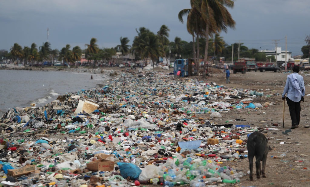 Plastic bags wash up as part of the litter on beaches around the world. CREDIT: REUTERS/RICARDO ROJAS