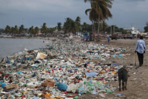 Plastic bags wash up as part of the litter on beaches around the world. CREDIT: REUTERS/RICARDO ROJAS