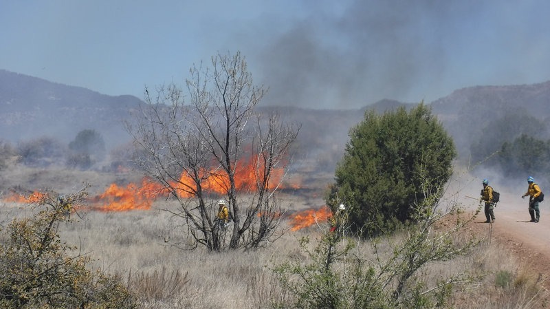 Crews tend to a prescribed fire in April 2016 northeast of Silver City, N.M. In line with a controversial Trump administration executive order pushing for "active forest management," the U.S. Forest Service is aiming to perform thinning, brush clearing, prescribed burns and other treatments on 3.5 million of its 80 million acres this year. CREDIT: NATIONAL FOREST/AP