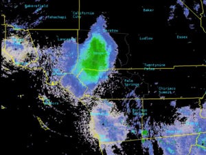 A huge blob that appeared on the National Weather Service's radar wasn't a rain cloud, but a massive swarm of ladybugs over San Bernardino County in Southern California. AP