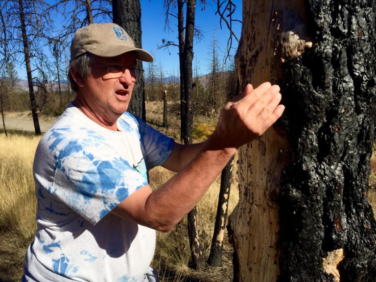 Ken Bevis shows burned tree