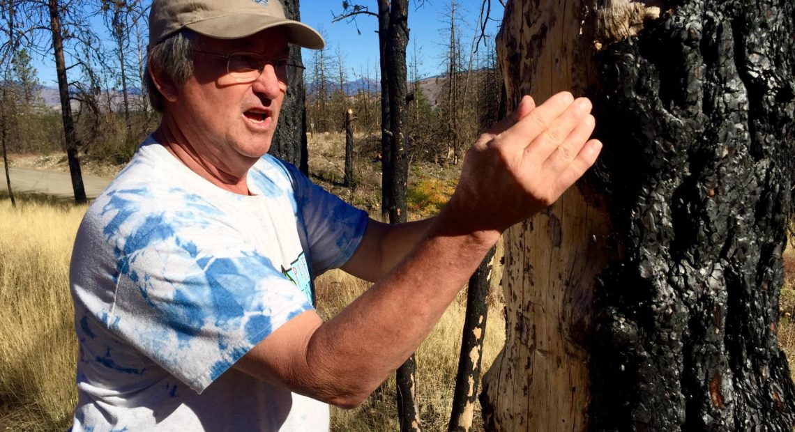 Ken Bevis shows burned tree