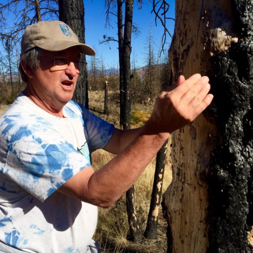 Ken Bevis shows burned tree
