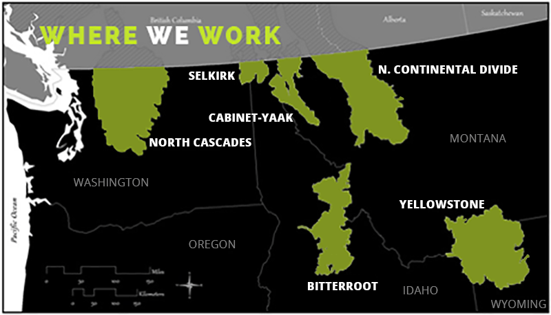 Grizzly bear recovery zones. CREDIT: INTERAGENCY GRIZZLY BEAR COMMITTEE