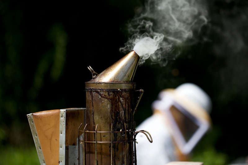 Beekeepers use this device, called a smoker, to calm honey bees. CREDIT: OLIVIA FALCIGNO/NPR