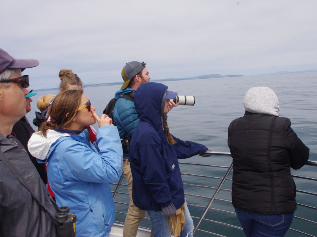 Tourists scanning the horizon on a whale watching cruise in Washington state's San Juan Islands. Martin Kaste/NPR