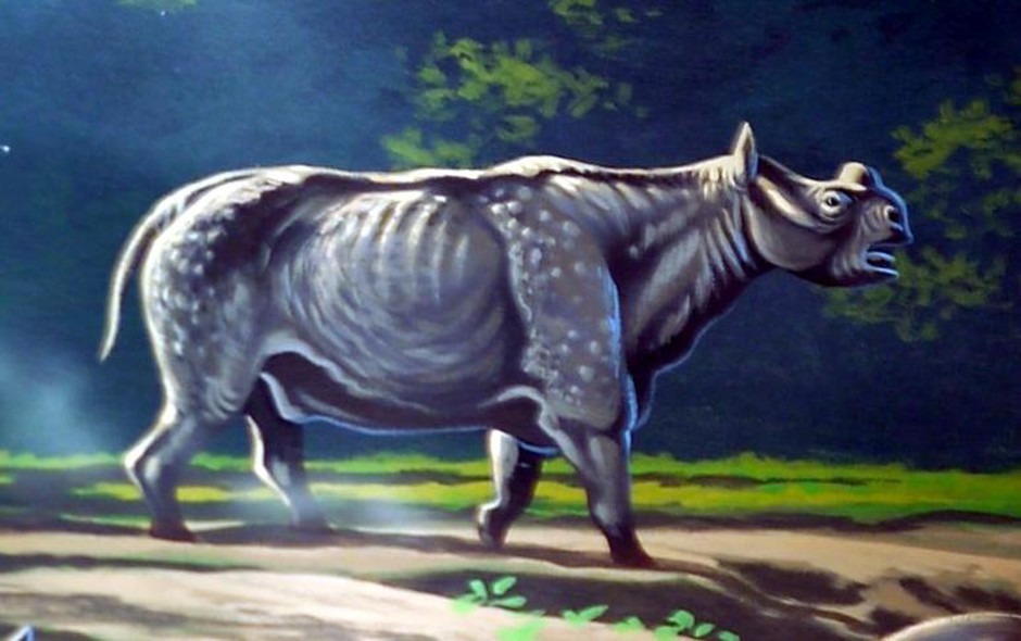 The John Day mesonychid would have shared its range with large herbivores like Protitanops, a relative of modern rhinos. CREDIT: National Park Service