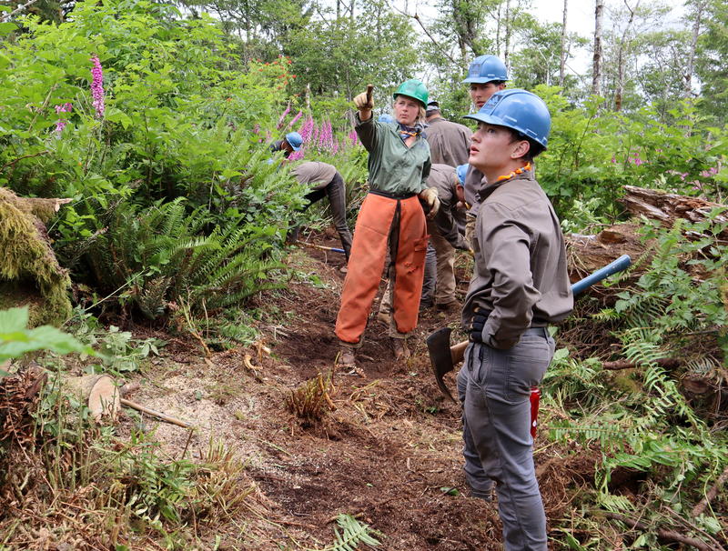 A Northwest Youth Corps trail-building crew at work in June on the south side of Neahkahnie Mountain where there is a gap in the Oregon Coast Trail.