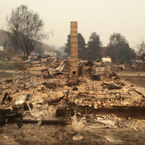 About 20 homes burned in this Pateros neighborhood, which included the mayor at the time, Libby Harrison, and her mom’s home behind her. The community church behind it survived, but the pastor’s home next door burned. CREDIT: Scott A. Leadingham