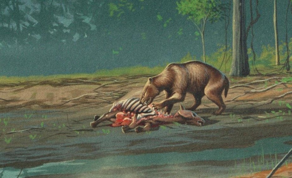 The John Day mesonychid was initially mis-identified as Hemipsaladon grandis, another large predator that would have shared a range with the mesonychid. CREDIT: National Park Service