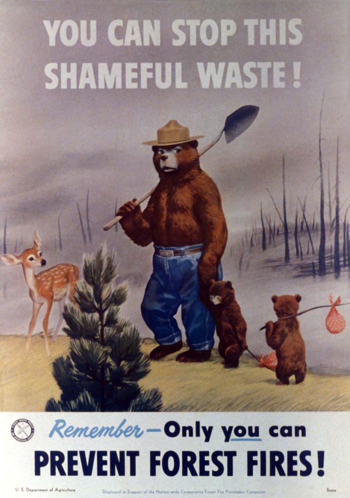 Smokey's look had changed by 1951; he gained a shovel and a stronger demeanor than his softer first appearance. The Ad Council